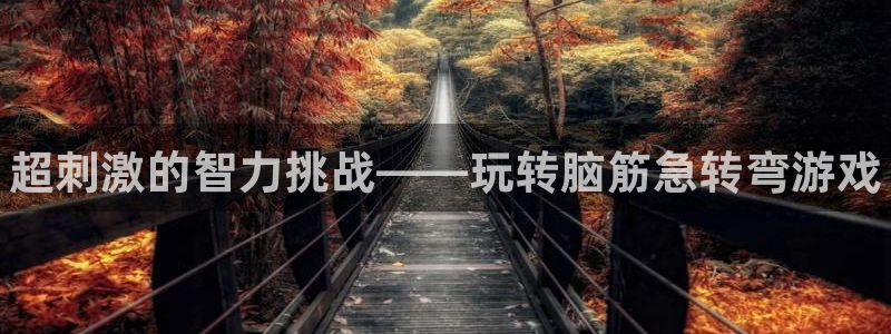赢咖娱乐的意思