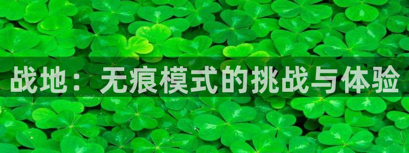 赢咖娱乐主管：战地：无痕模式的挑战与体验
