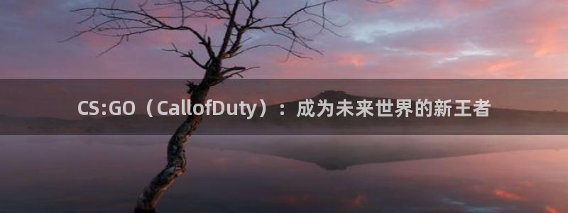 赢咖娱乐开户测速：CS:GO（CallofDuty）：成为未