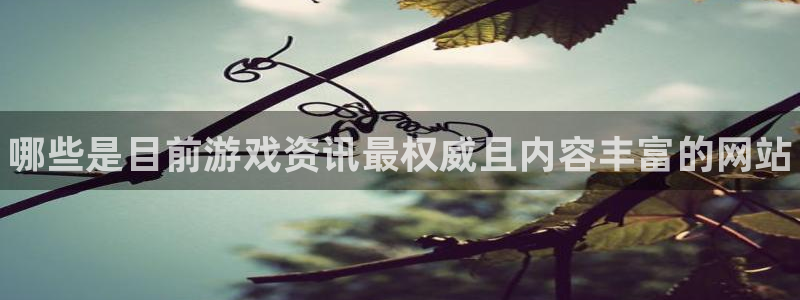 赢咖娱乐平台注册：哪些是目前游戏资讯最权威且内容丰富的网站