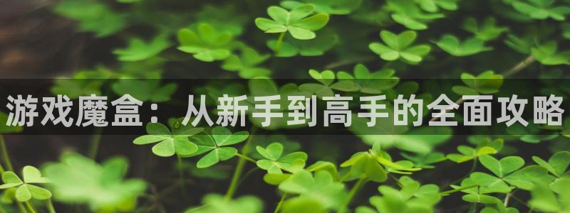 赢咖娱乐科技：游戏魔盒：从新手到高手的全面攻略