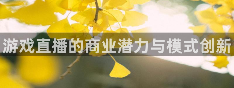 赢咖娱乐平台：游戏直播的商业潜力与模式创新