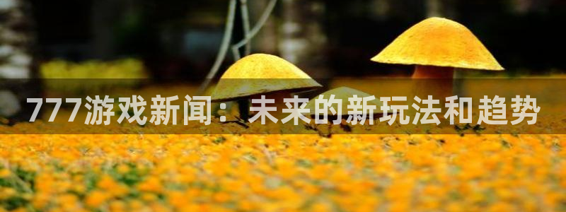 赢咖娱乐平台登录：777游戏新闻：未来的新玩法和趋势