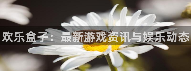 赢咖娱乐平台登录入口：欢乐盒子：最新游戏资讯与娱乐动态