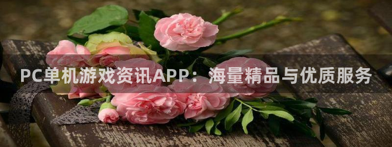 赢咖娱乐注册官方登录app：PC单机游戏资讯APP：海量精品