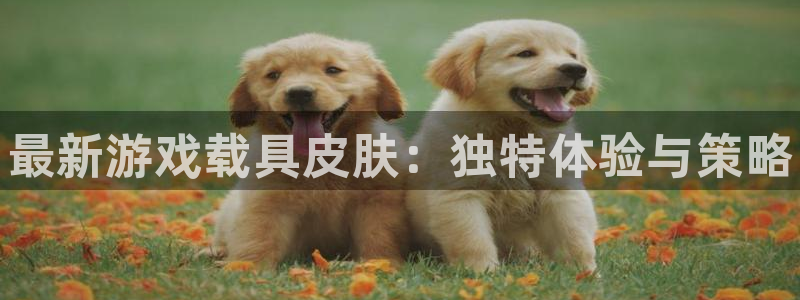赢咖娱乐平台登录：最新游戏载具皮肤：独特体验与策略