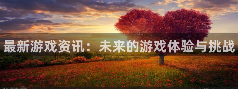赢咖娱乐平台：最新游戏资讯：未来的游戏体验与挑战