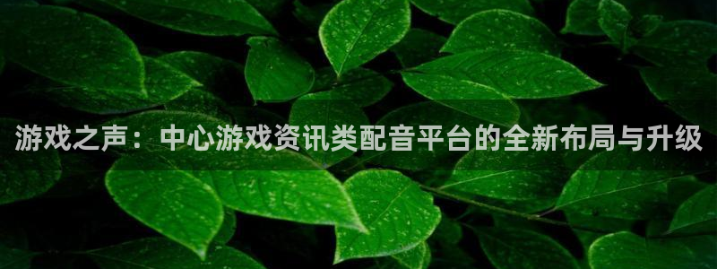 赢咖娱乐：游戏之声：中心游戏资讯类配音平台的全新布局与升级