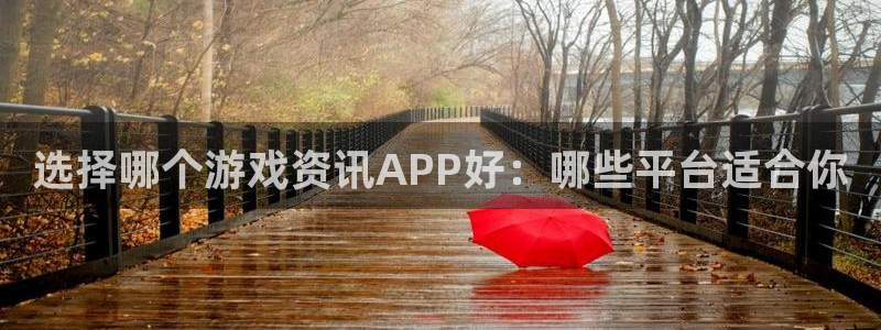 赢咖娱乐平台：选择哪个游戏资讯APP好：哪些平台适合你